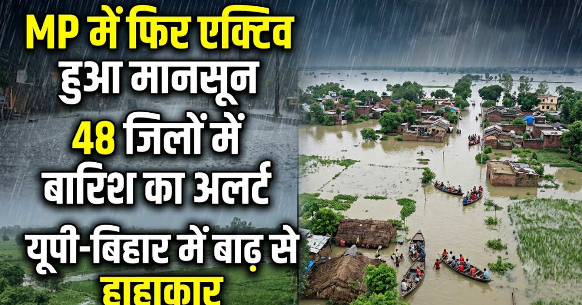 MP में फिर एक्टिव हुआ मानसून, यूपी-बिहार में बाढ़ से हाहाकार; 48 जिलों में बारिश का अलर्ट