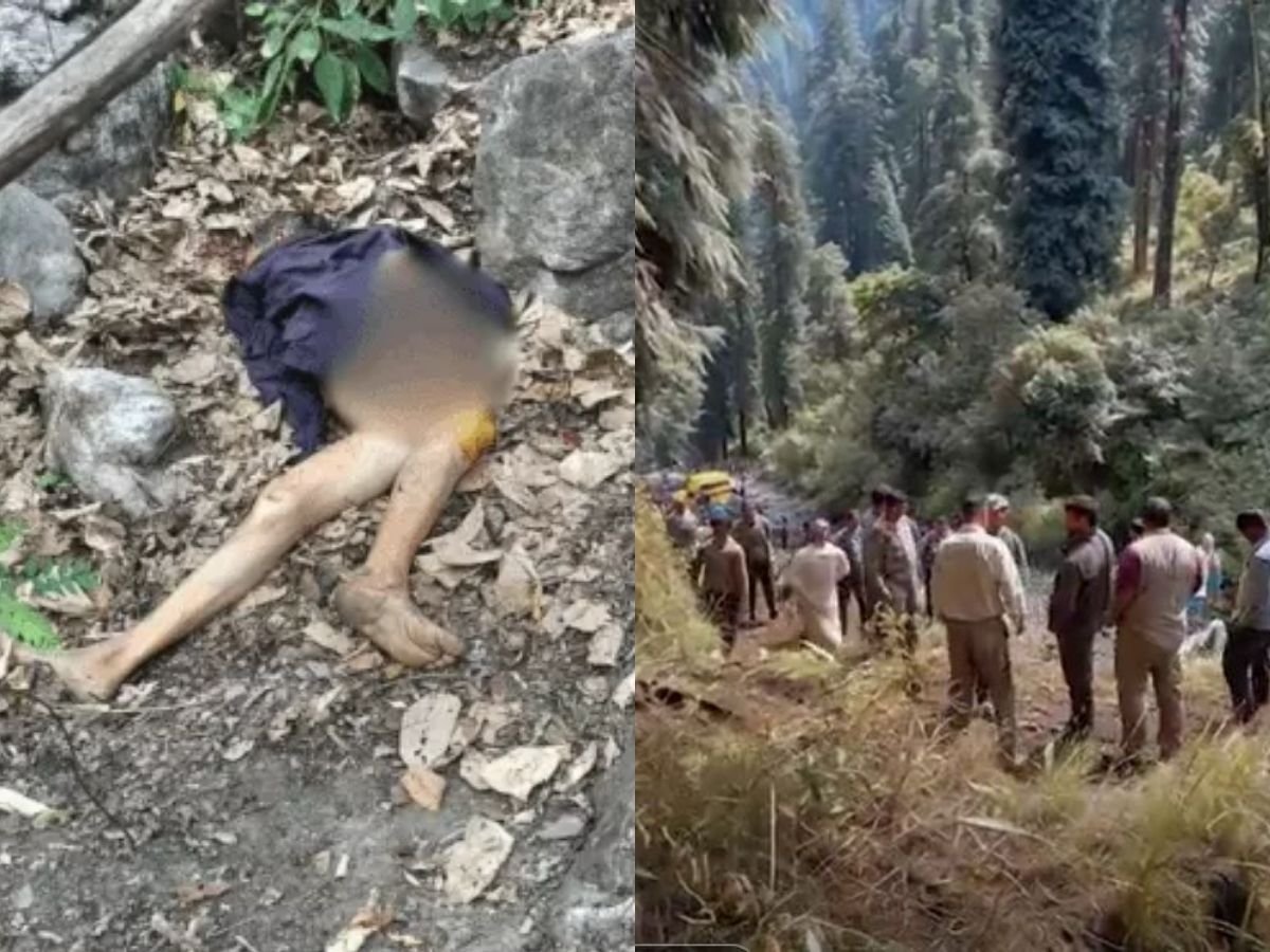 अल्मोड़ा में बाघ का हमला, बुजुर्ग का कमर से ऊपर का शरीर खाया