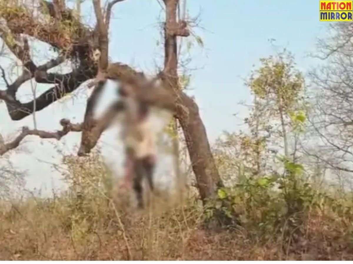 2 Friends Suicide News: 2 दोस्तों ने एकसाथ की आत्महत्या! एक पेड़ पर लटकता मिला दोनों का शव...