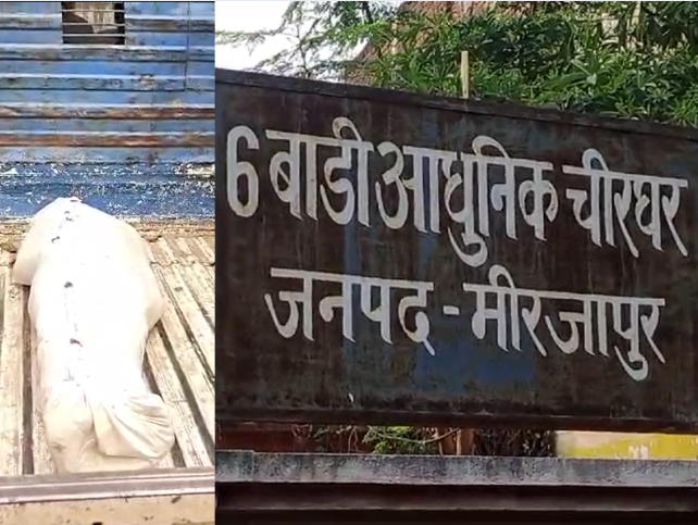 MP Administrative reshuffle: MP में बड़ा प्रशासनिक फेरबदल, ग्वालियर-रीवा समेत कई महिला कलेक्टर हटेंगी