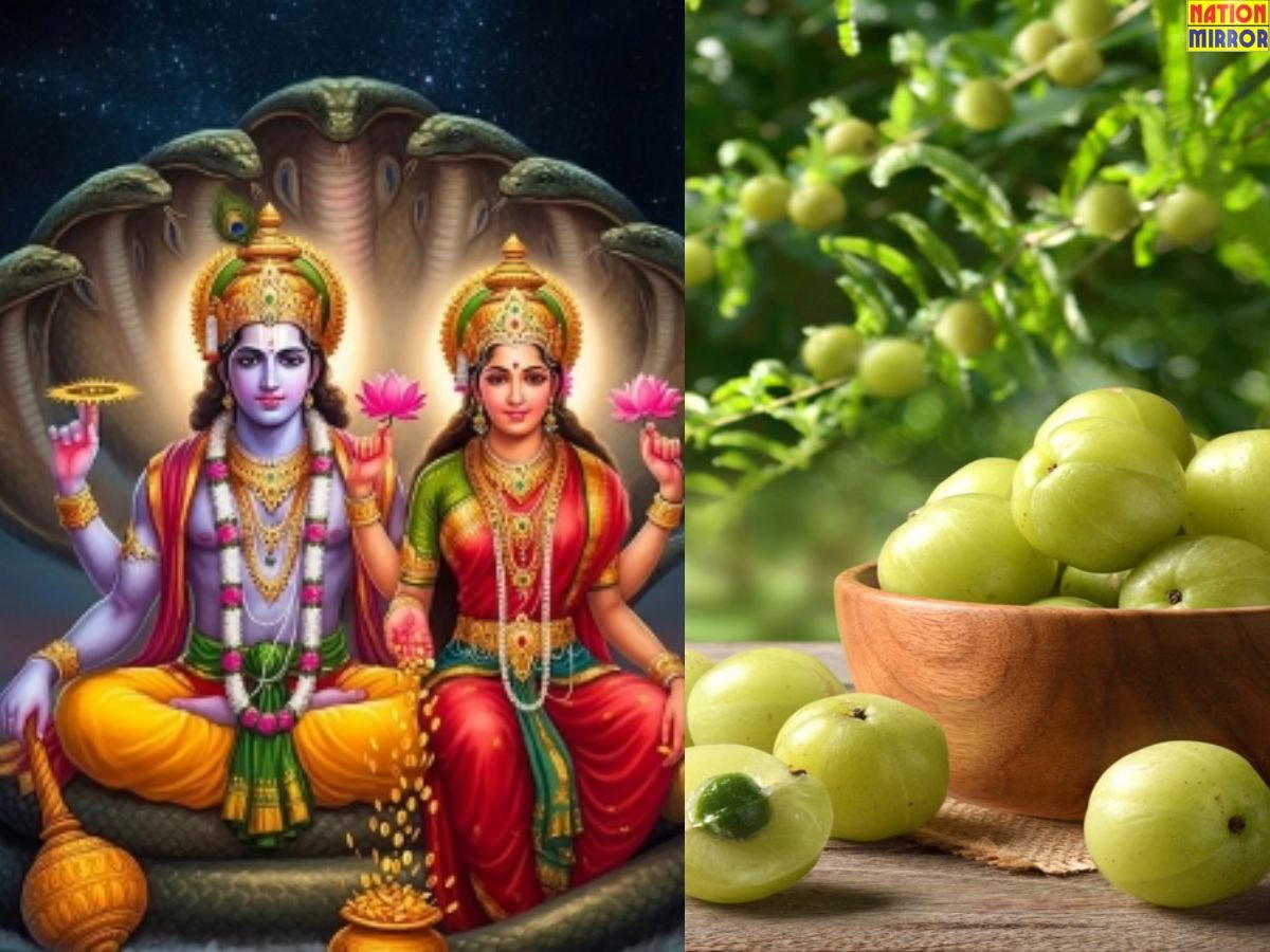 Akshaya Navami 2025: अक्षय नवमी पर करें ये उपाय, मिलती है मां लक्ष्मी की कृपा!