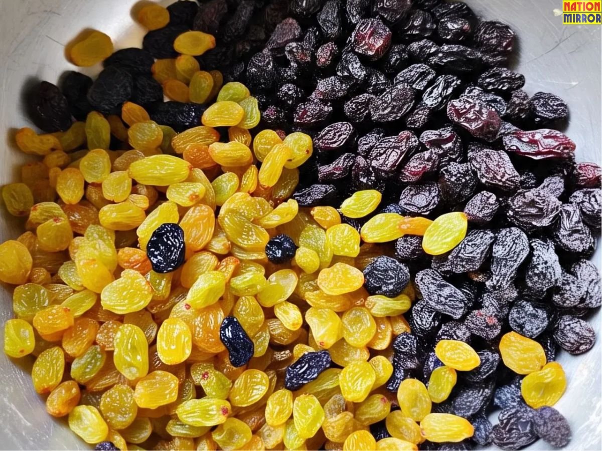 Black Raisins vs Golden Raisins: वजन घटाना हो या खून बढ़ाना? काली और पीली किशमिश में कौन बेहतर...