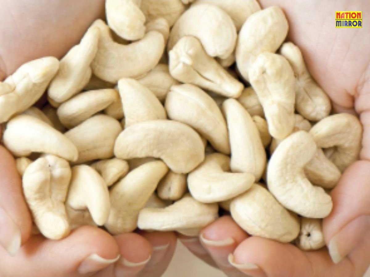 Cashew Health Benefits: काजू खाने से क्या होता है? जानिए इसके फायदें और नुकसान..