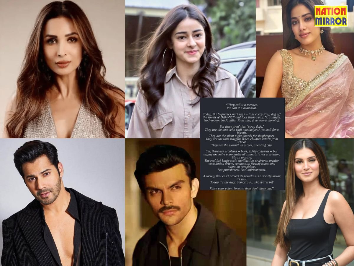 Celebrities Objected Supreme Court Order: आवारा कुत्तों को शेल्टर भेजने के फैसले पर कई सेलेब्स ने जताई आपत्ति!
