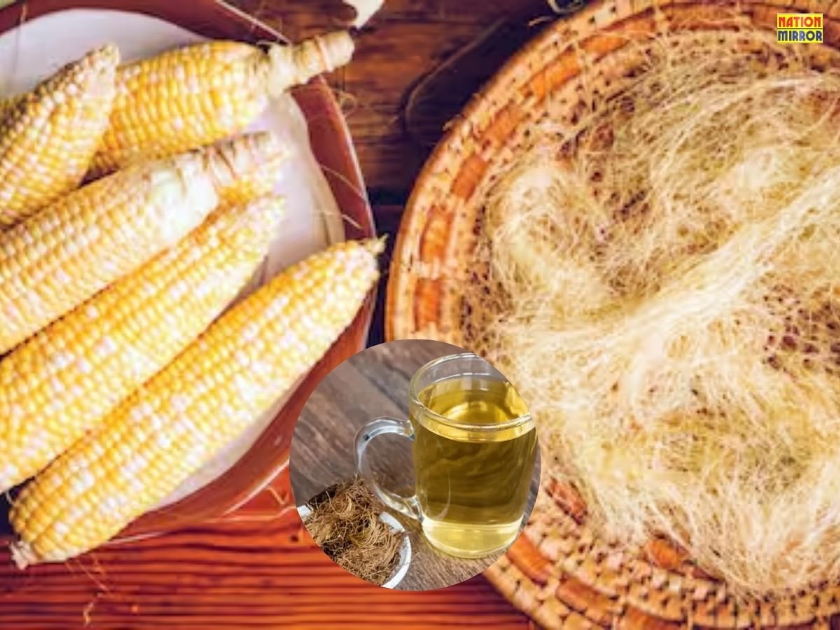 Corn Silk Tea Benefits: भुट्टे के बाल डायबिटीज से लेकर पथरी के इलाज तक फायदेमंद!