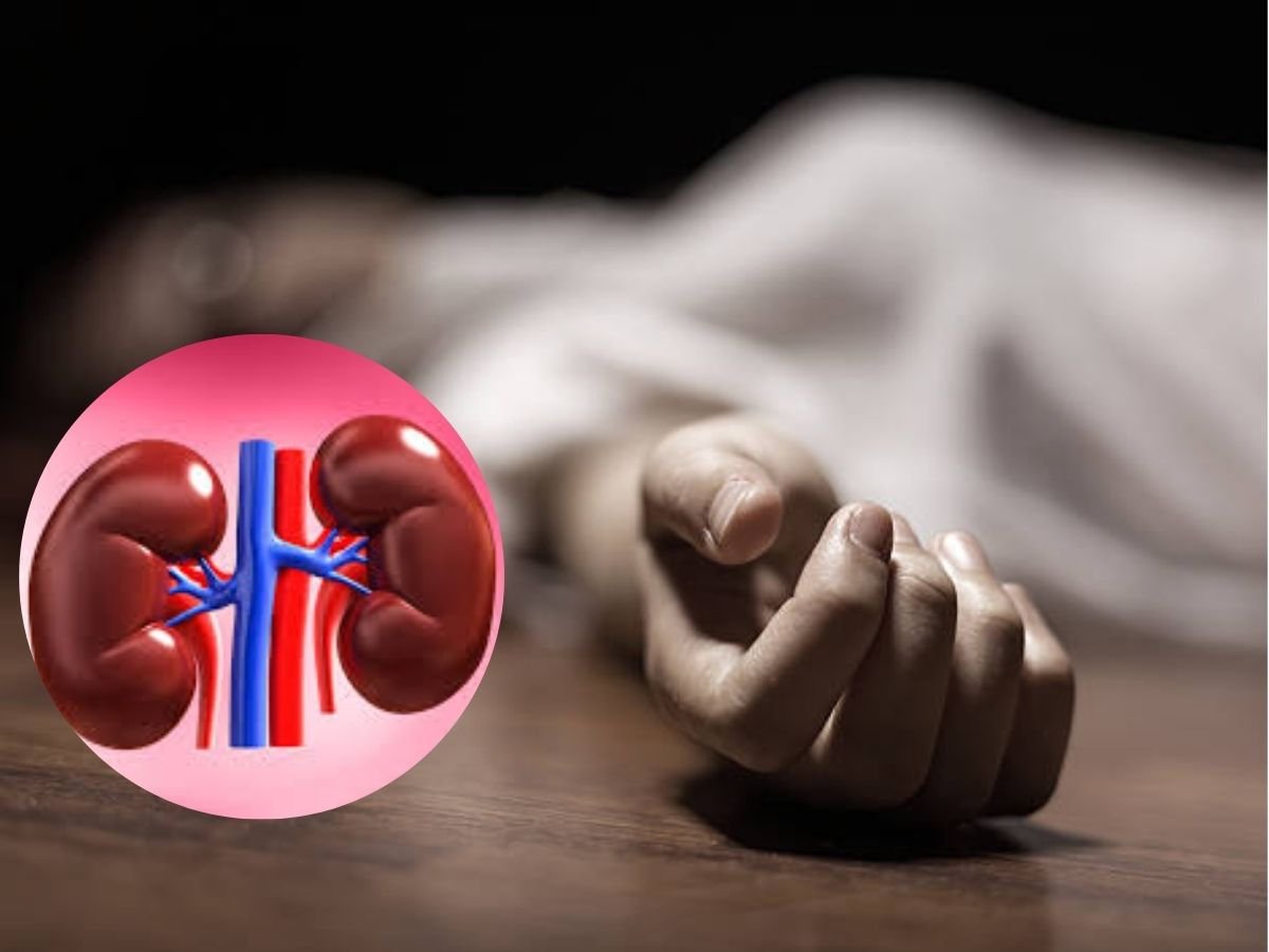 MP NEWS : छिंदवाड़ा में संदिग्ध किडनी संक्रमण से बच्चों की मौतों का सिलसिला जारी, स्वास्थ्य विभाग ने उठाए  महत्वपूर्ण कदम
