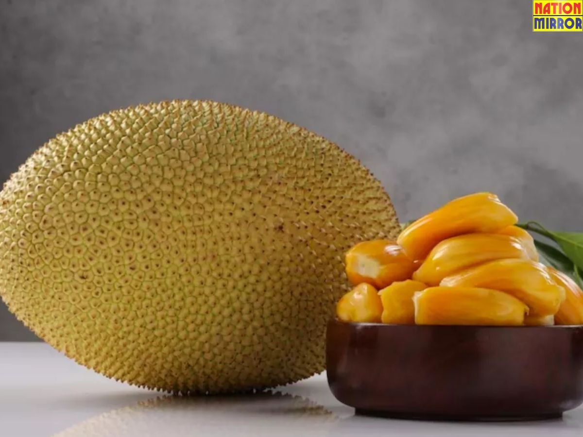 Jackfruit Benefits and Side Effects: जानिए सेहत पर इसके असर और सही तरीके से सेवन के लाभ....