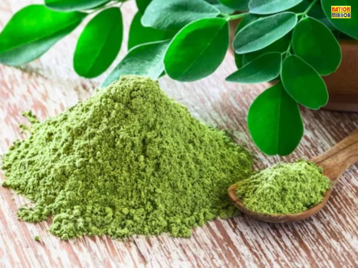Moringa Powder Benefits: डायबिटीज और कोलेस्ट्रॉल के लिए रामबाण!