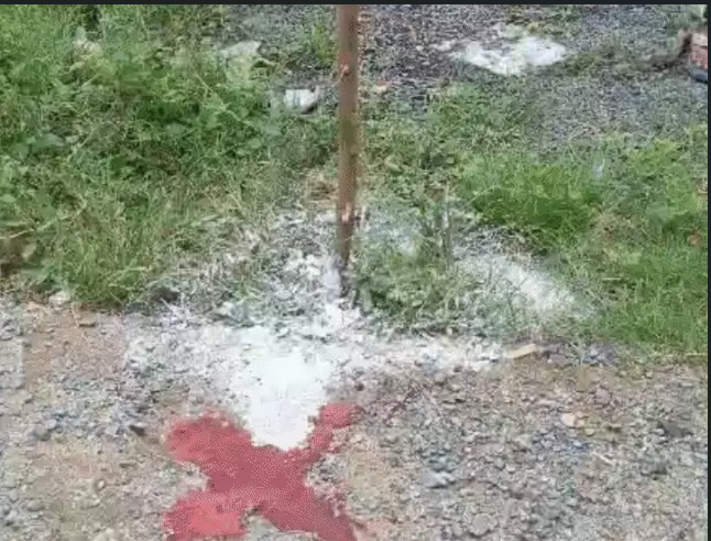 भोपाल के अनंतपुरा में 99 एकड़ सरकारी जमीन कब्जा मामला-मछली परिवार पर जिला प्रशासन का बड़ा एक्शन, टीएंडसीपी अप्रूवल नहीं, पूरी कॉलोनी जांच के घेरे में!