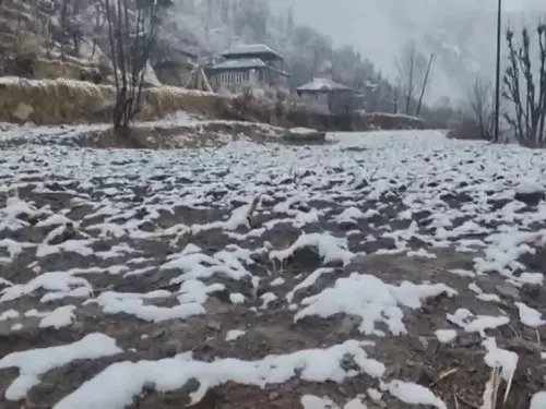 Weather Update: 10 राज्यों में कोहरा, जम्मू-कश्मीर और लद्दाख में बर्फबारी के आसार