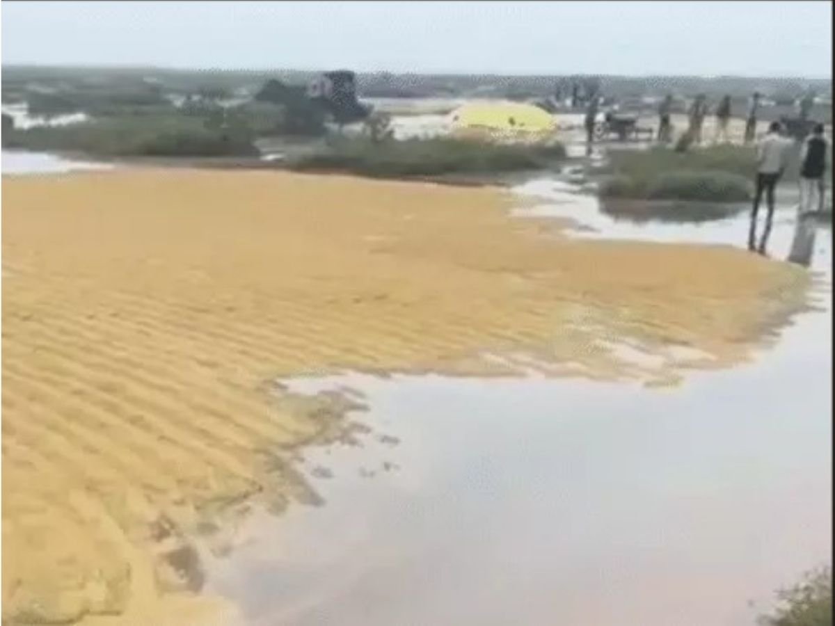 MP NEWS : मध्यप्रदेश में बदला मौसम का मिजाज,श्योपुर में धान की फसल बह गई