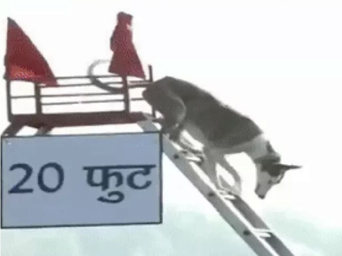 MP NEWS : पीएम मोदी मन की बात के 127 वें  एपिसोड में बोले-भारतीय नस्ल के श्वान की तारीफ की