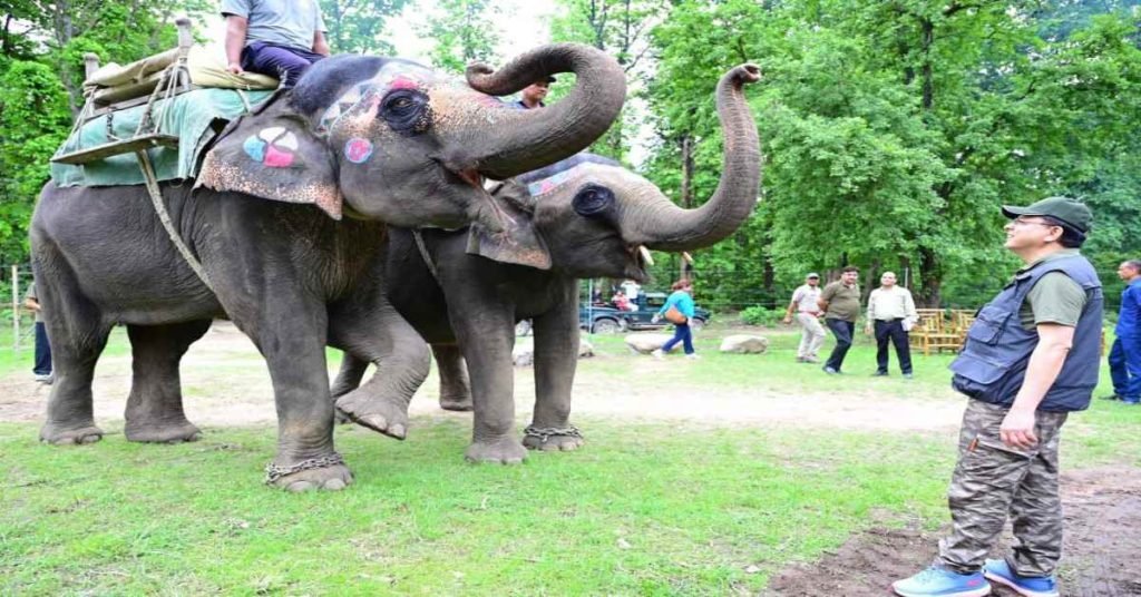 Uttarakhand jungle safari tourism: उत्तराखंड में जंगल सफारी पर्यटन को नई पहचान, बढ़ा पर्यटकों का रुझान