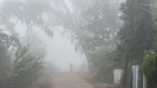 MP Weather Update: ठंड ने ली जोरदार दस्तक, शीतलहर और कोहरे का अलर्ट