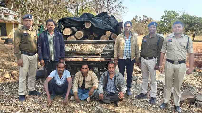बिलासपुर में सागौन के लट्ठे भर कर ले जा रहे 5 लोग गिरफ़्तार; ढाई लाख का माल बरामद