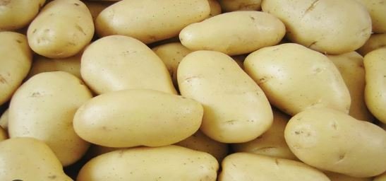 fake potatoes: मार्केट में अब नकली आलू की एंट्री
