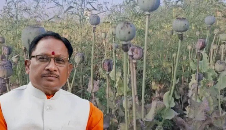 अफीम की खेती को लेकर सीएम साय सख्त: सभी कलेक्टरों से 15 दिन में मांगी रिपोर्ट