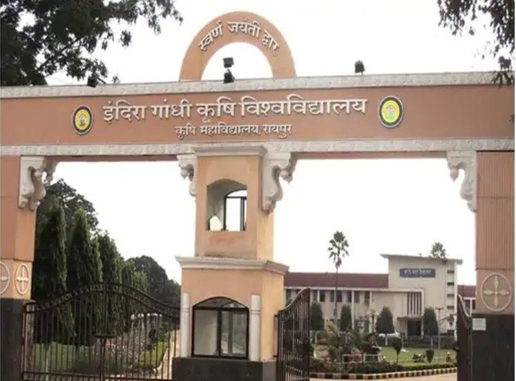 Chhattisgarh agriculture research: धान पर रिसर्च करने उज्बेकिस्तान के छात्र आएंगे छत्तीसगढ़, सीएम साय से करेंगे मुलाकात
