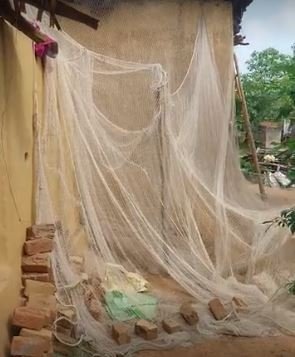 Kanker: घर के किचन में घुसा तेंदुआ