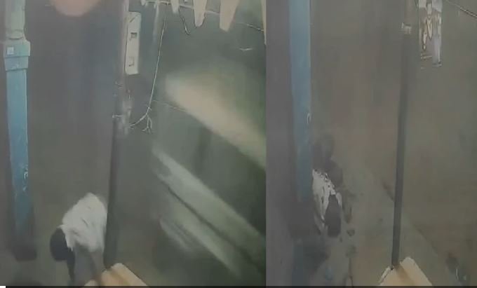 Surajpur: खेत से मूंगफली खाने पर मिली मौत, पिता-पुत्र को बोलेरो से कुचला, तड़प-तड़पकर गई जान