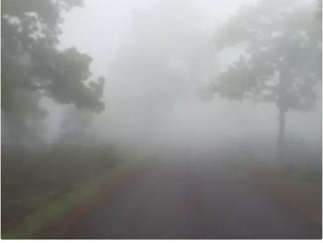 Monsoon : छत्तीसगढ़ में मानसून कहर, 33 जिलों में यलो अलर्ट