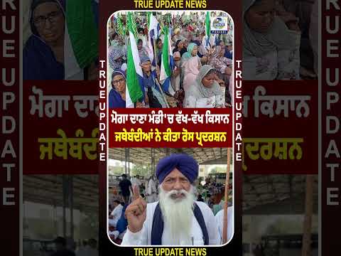 ਮੋਗਾ ਦਾਣਾ ਮੰਡੀ 'ਚ ਵੱਖ-ਵੱਖ ਕਿਸਾਨ ਜਥੇਬੰਦੀਆਂ ਨੇ ਕੀਤਾ ਰੋਸ ਪ੍ਰਦਰਸ਼ਨ