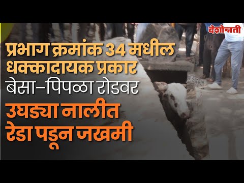 प्रभाग क्रमांक ३४ मधील धक्कादायक प्रकार, बेसा–पिपळा रोडवर उघड्या नालीत रेडा पडून जखमी