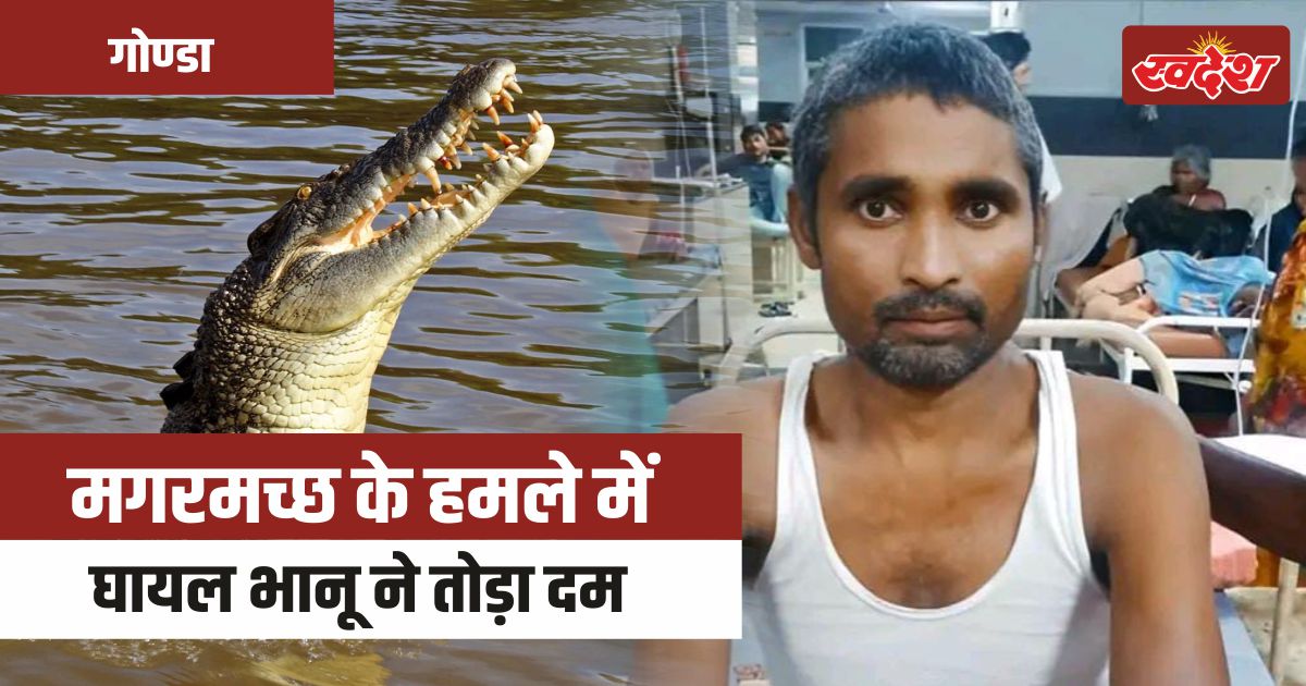 gonda news 34 दिन मौत से जंग हार गया भानु मगरमच्छ हमले में हुआ था जख्मी 