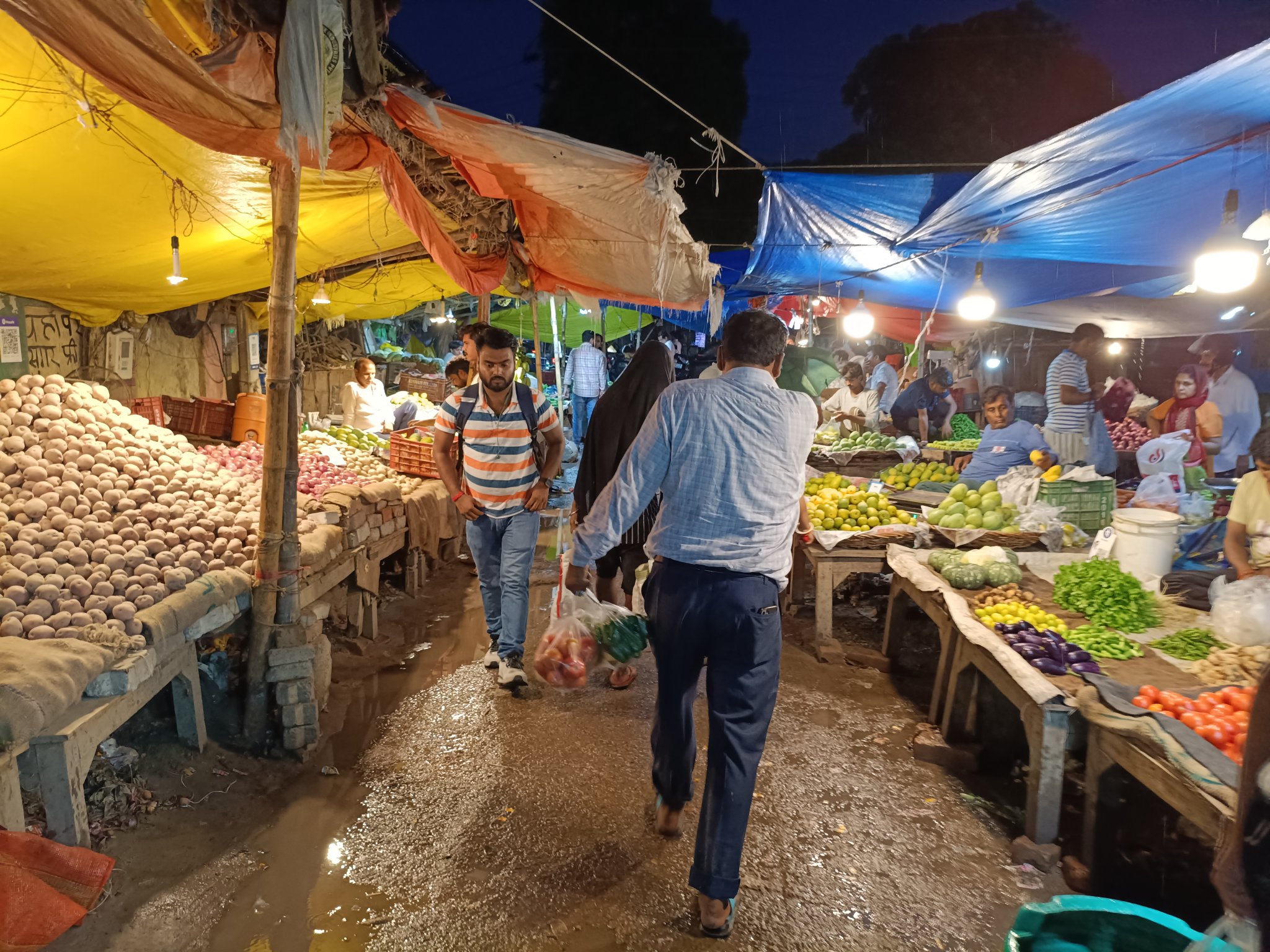 सब्जियों के बढ़ते दामों से थाली से गायब हो रही हरियाली मानसून की मार ने बिगाड़ा रसोई का बजट