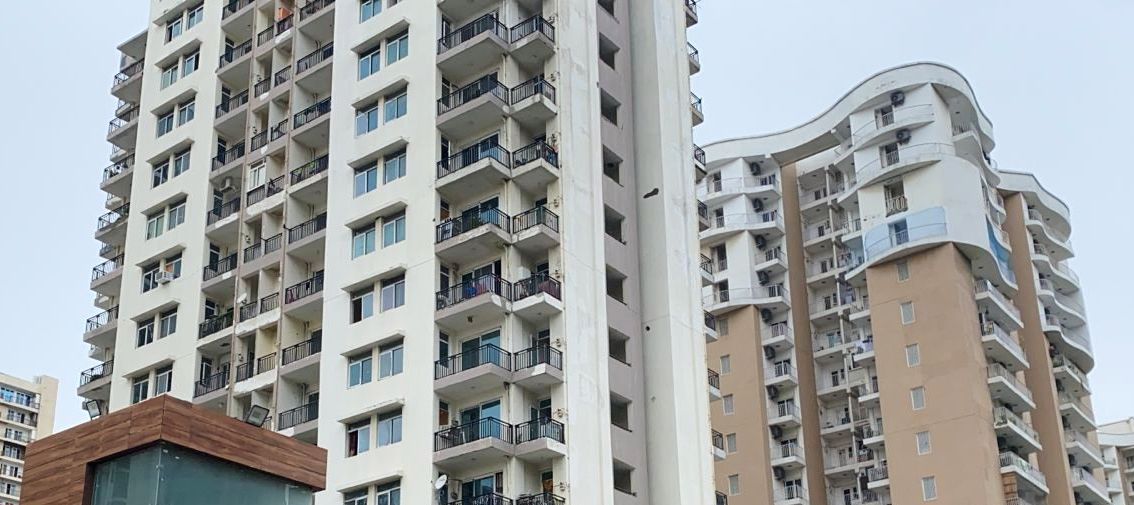 आवारा कुत्तों का आतंक दो दिन में चार लोगों पर हमला जान से मारने की धमकी तक मिली