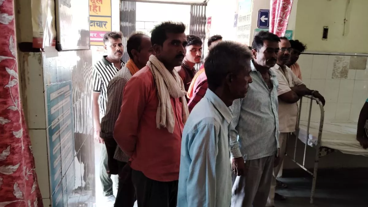 रायबरेली खेत की रखवाली कर रहे वृद्ध पर मधुमक्खियों का हमला इलाज के दौरान मौत