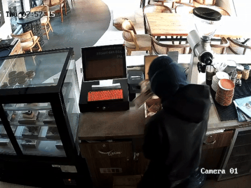 जालंधर के मॉडल टाउन में टैन कॉफी में चोरी cctv में दिखा चोर