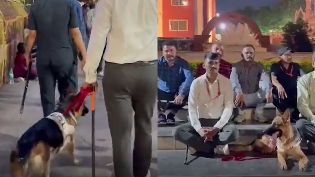 महाकाल की सेवा में तैनात मैकसी रखती है सावन सोमवार का व्रत दिनभर दूध और शाम को सिर्फ फलाहार