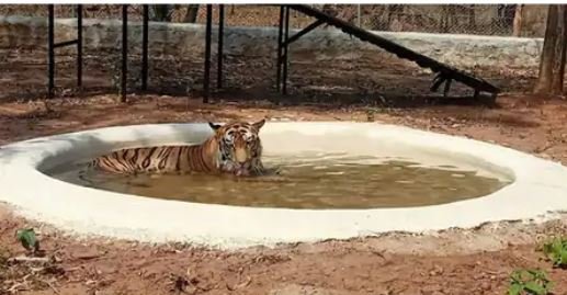 मसूरी को 2 नई डिस्पेंसरी की सौगात नगर पालिका बोर्ड का एक साल बेमिसाल