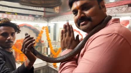mla with snake news शिव अवतार में बीजेपी विधायक
