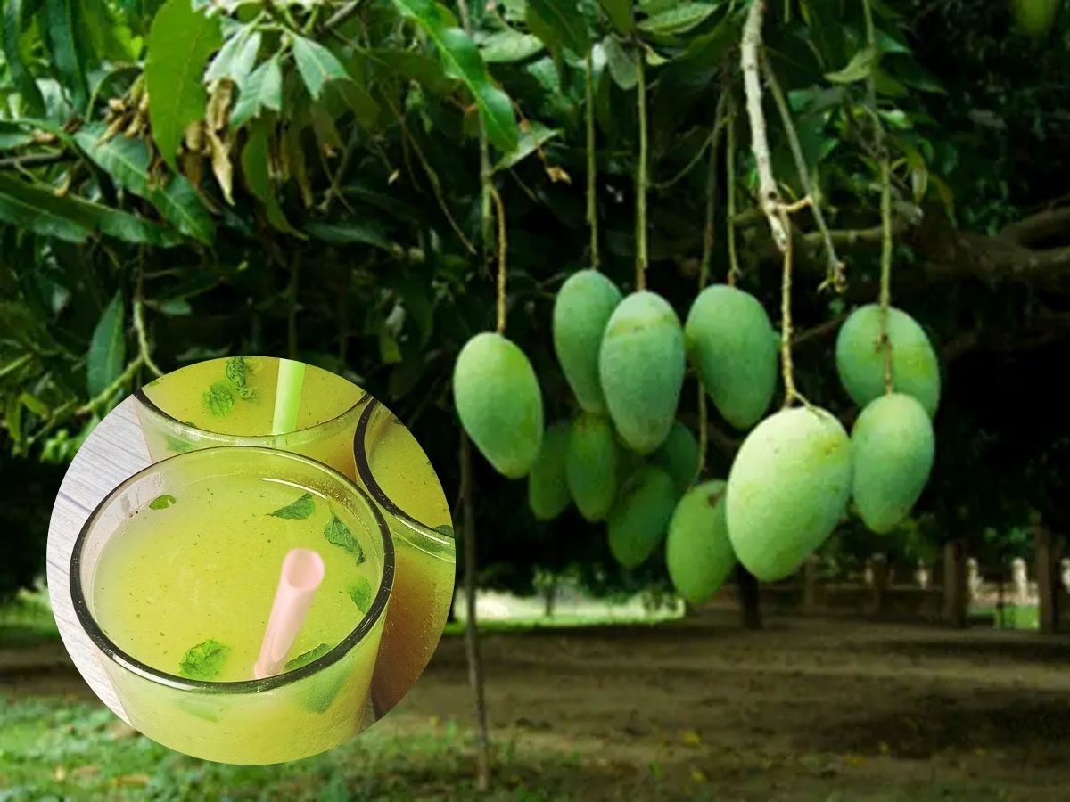 aam panna for summer गर्मी में यह रस अमृत समान