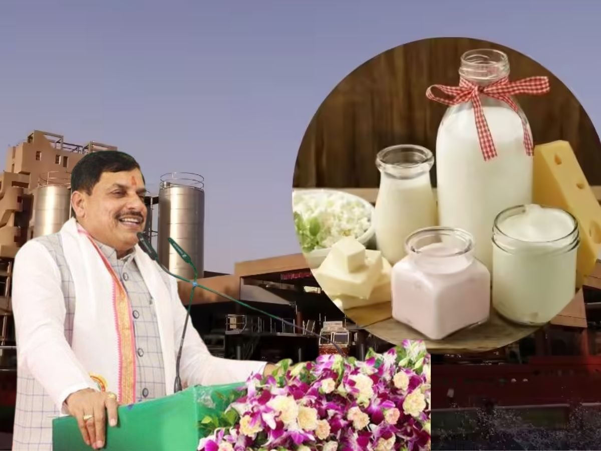 aim to make madhya pradesh the milk capital मध्यप्रदेश को “मिल्क कैपिटल” बनाने का लक्ष्यcm मोहन कर रहे प्रयास