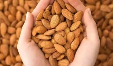 benefits of badam बादाम सेहत के लिए वरदान