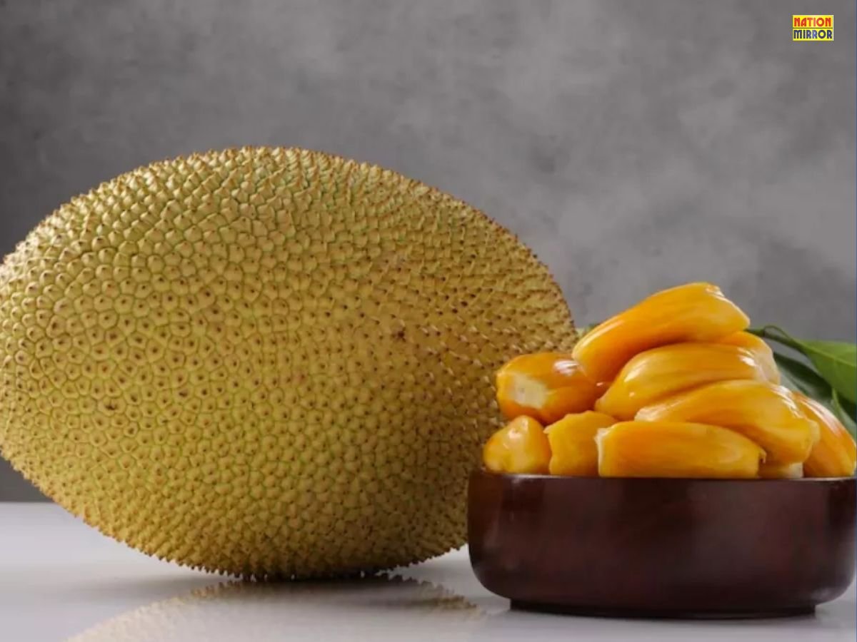 benefits of jackfruit कटहल से मिलते हैं गजब के फायदे लेकिन ज्यादा खाने से हो सकते हैं नुकसान