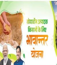 bhavantar yojana किसानों के लिए खुशखबरी भावांतर योजना की राशि अब बिक्री के 15 दिन के भीतर सीधे खाते में