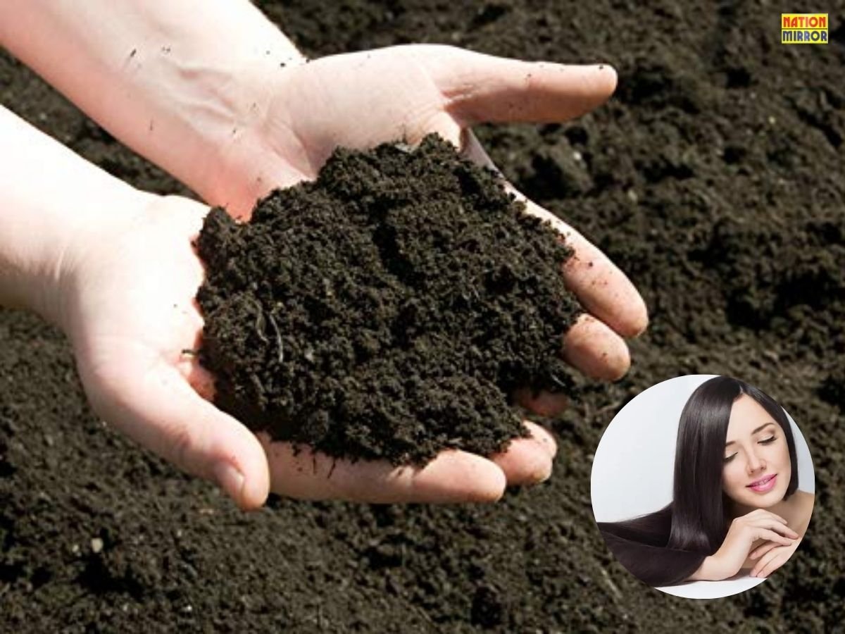 black clay benefits for hair बाल में लगाएं काली मिट्टी मिलेंगे जबरजस्त फायदे