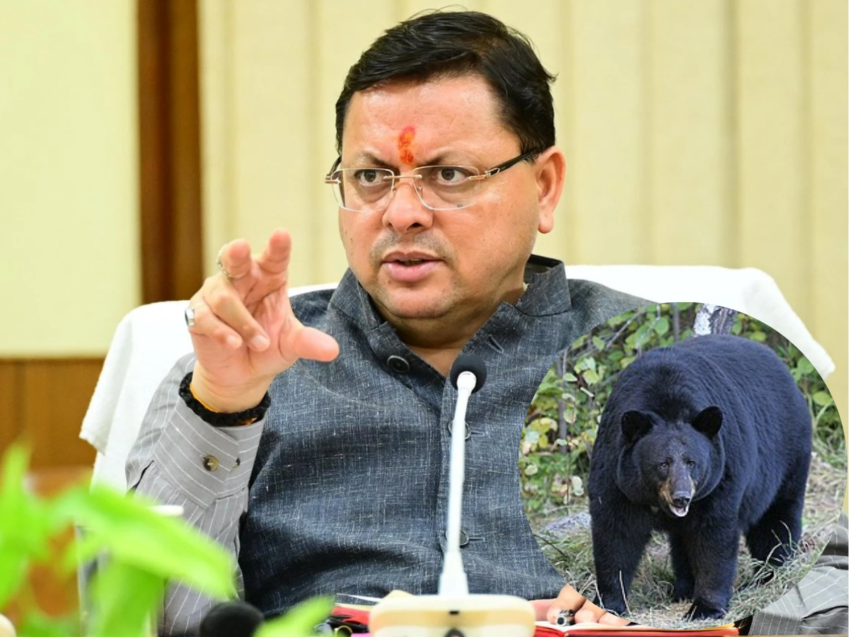 wildlife animals update   वन्यजीवों के हमले में घायल व्यक्तियों के इलाज का खर्च  धामी सरकार उठाएगी