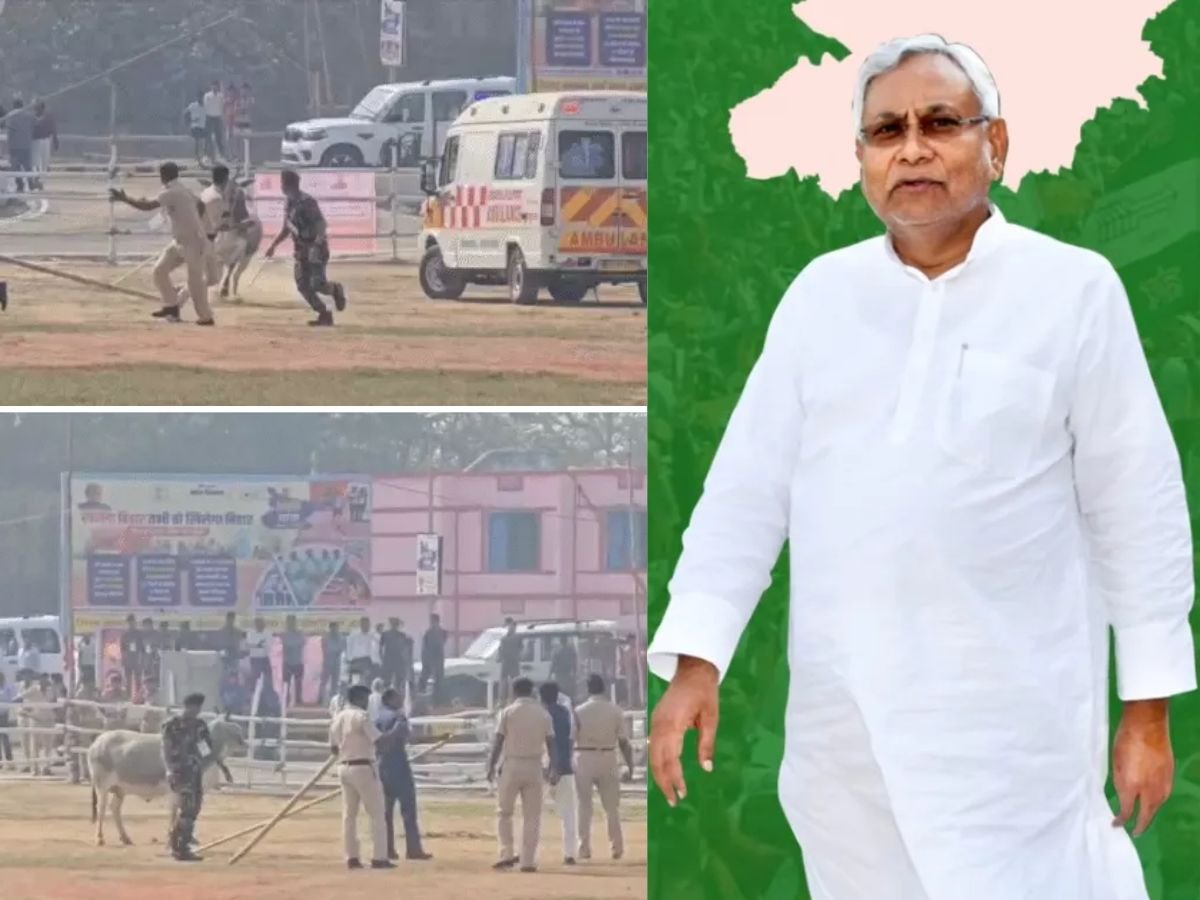 cm नीतीश की सुरक्षा में चूकहेलीपैड में घुसा सांड