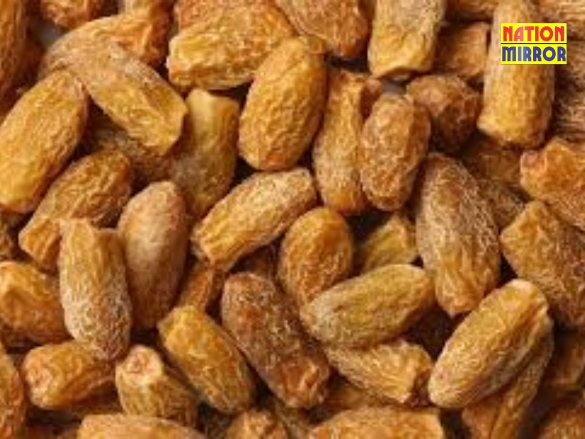 chuhare khane ke fayde छुहारे सेहत के लिए वरदान जानिए इसके फायदे