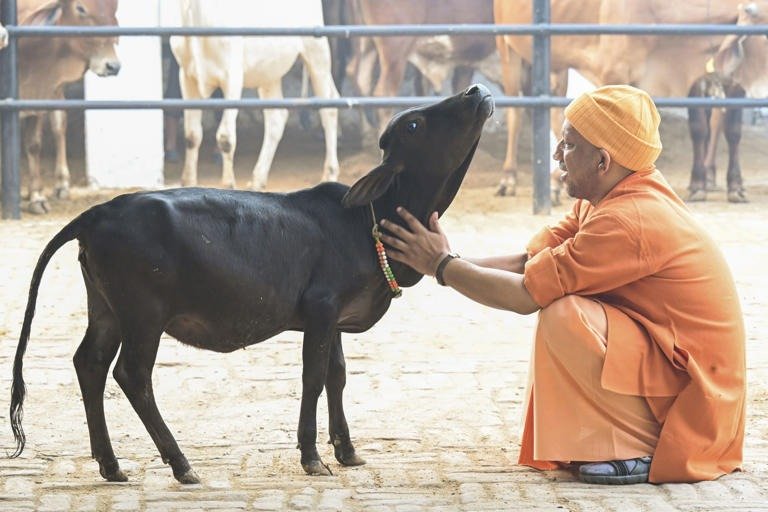 जरूरतमंदों के इलाज का खर्च सरकार उठाएगी सीएम योगी
