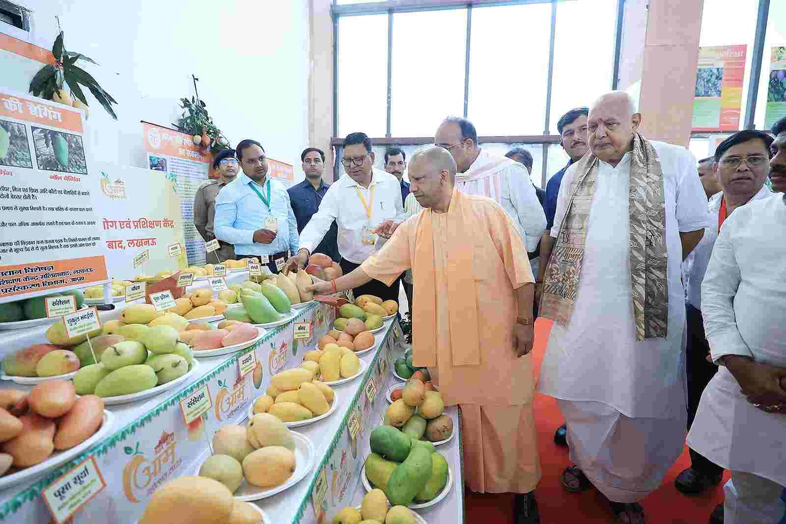 cm योगी ने आम महोत्सव 2025 का किया शुभारंभ 800 प्रजातियों को देखने और चखने का मिलेगा मौका