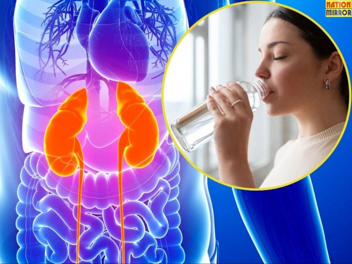 healthy kidney tips इन चीजों का रखे ध्यान नहीं किडनी हो जाएगी खराब