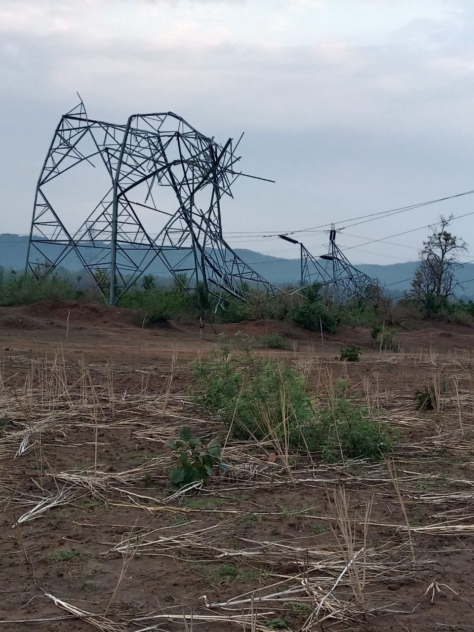 beohari electricity tower तेज आंधी में ब्यौहारी में गिरे दो विद्युत टावर मरम्मत में लगेगा समय