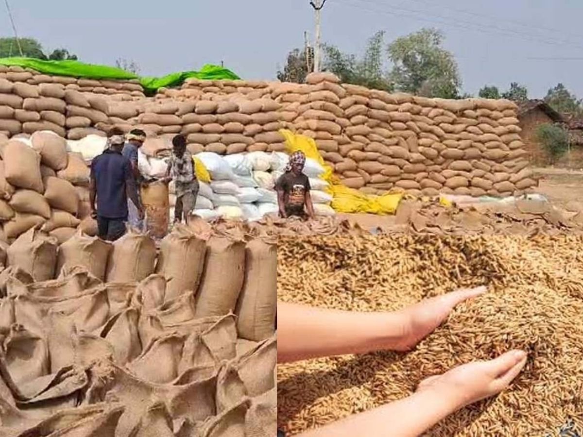 cg news  धान का कटोरा छत्तीसगढ़ में 15 नवंबर से शुरू होगी धान की खरीदी