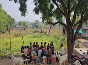 india education पेड़ के नीचे चल रही 2 साल से पाठशाला सरकार के दावे फेल